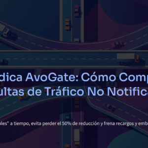 GUIA - Cómo comprobar si tienes multas de tráfico no notificadas en España